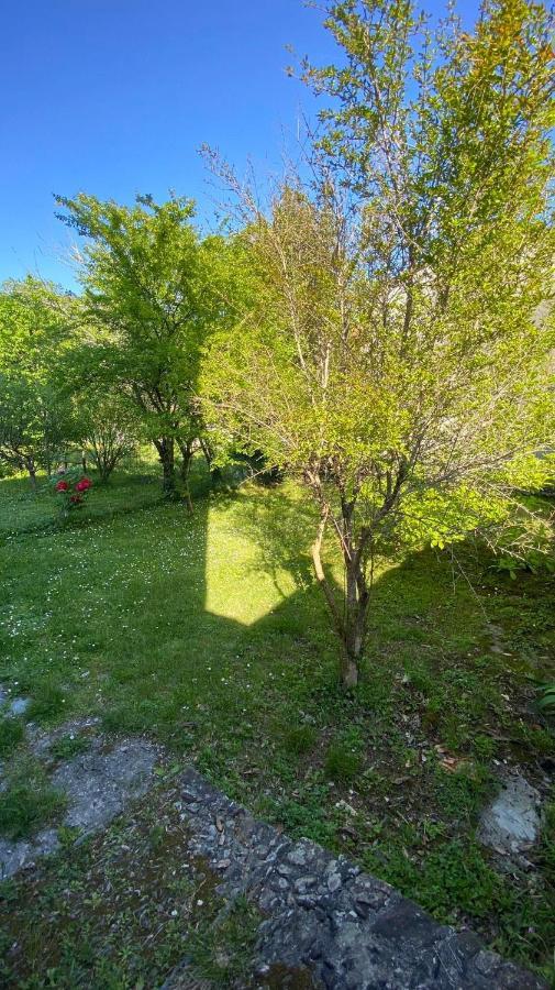 Villa Molinazzo Cicagna Екстер'єр фото