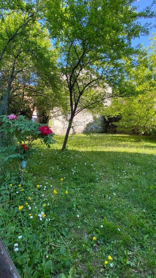 Villa Molinazzo Cicagna Екстер'єр фото